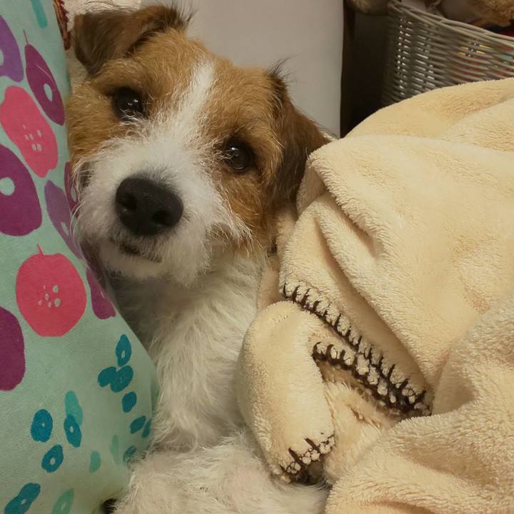 B95ba59c 3d1a 440b 8a45 5aadcafd9077 1571985571189