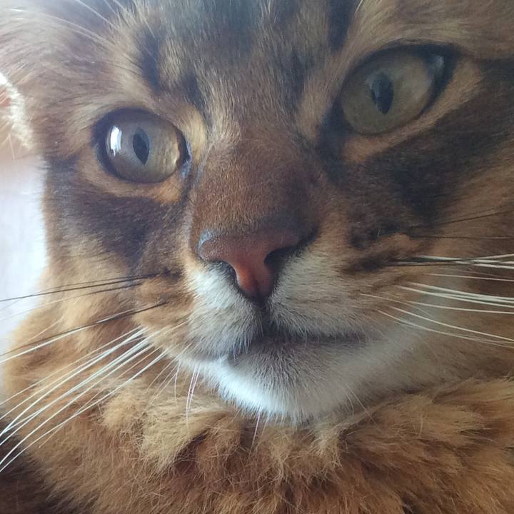 B95bac29 2b87 432d b3a8 cb36eea7d2fd 1617949371917