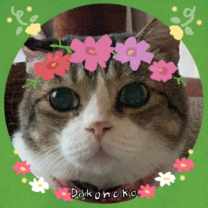 B95bb8b4 9b12 4a74 9225 a3b4ad345374 1727232149048