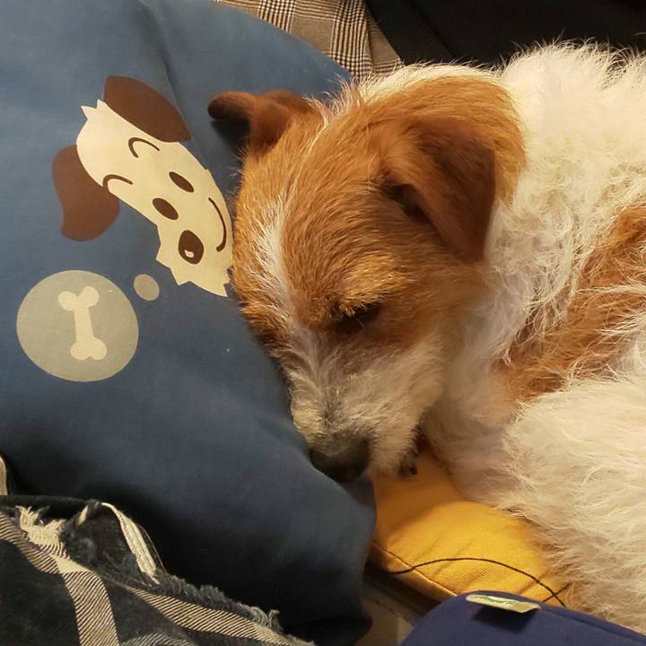 B95bc500 6999 4d2e 8767 e63b2268a638 1556956026978