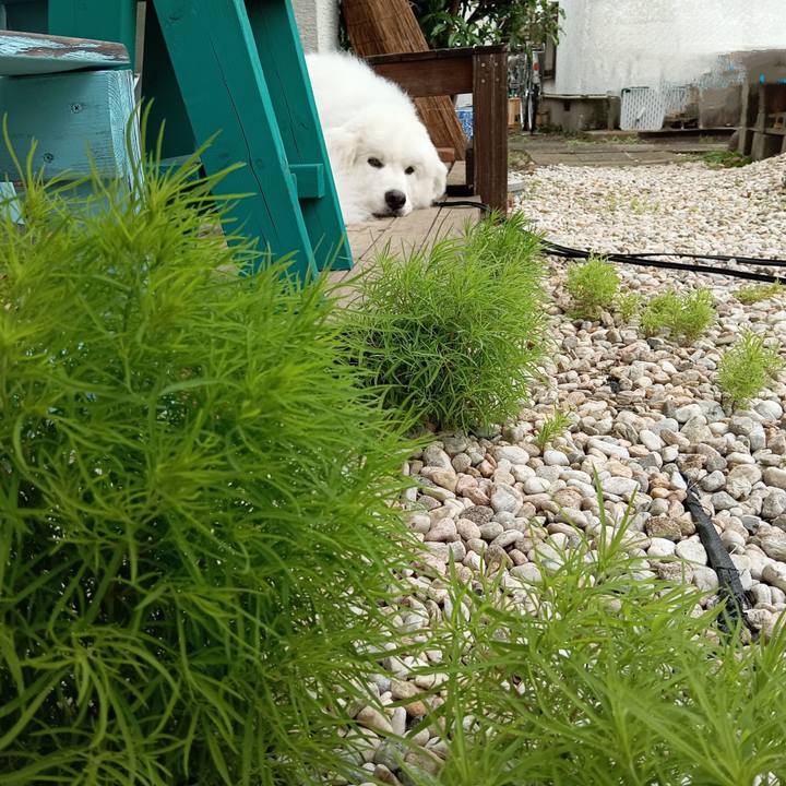 B95bcff8 dd80 40b5 ba42 1a56842150ac 1715168837923