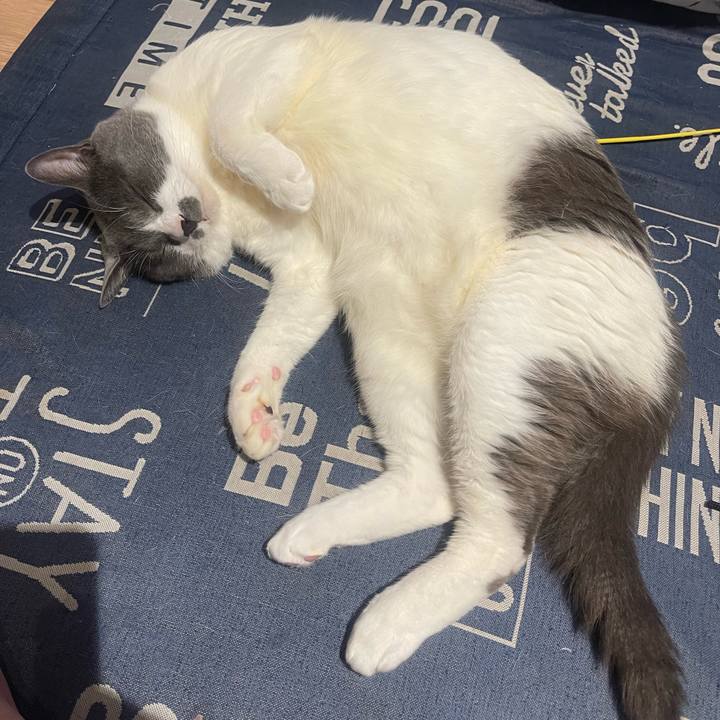 B95bda79 8630 4e0c a69d 04dbbf657efc 1747843190675