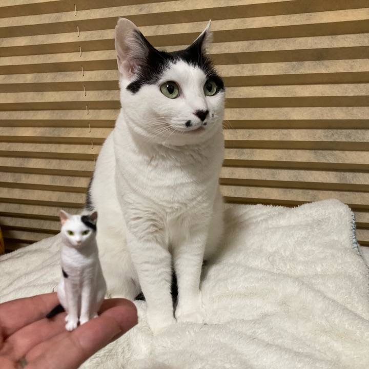 B95bdf92 2ad4 4e2e b786 62ad184efadf 1775557305906