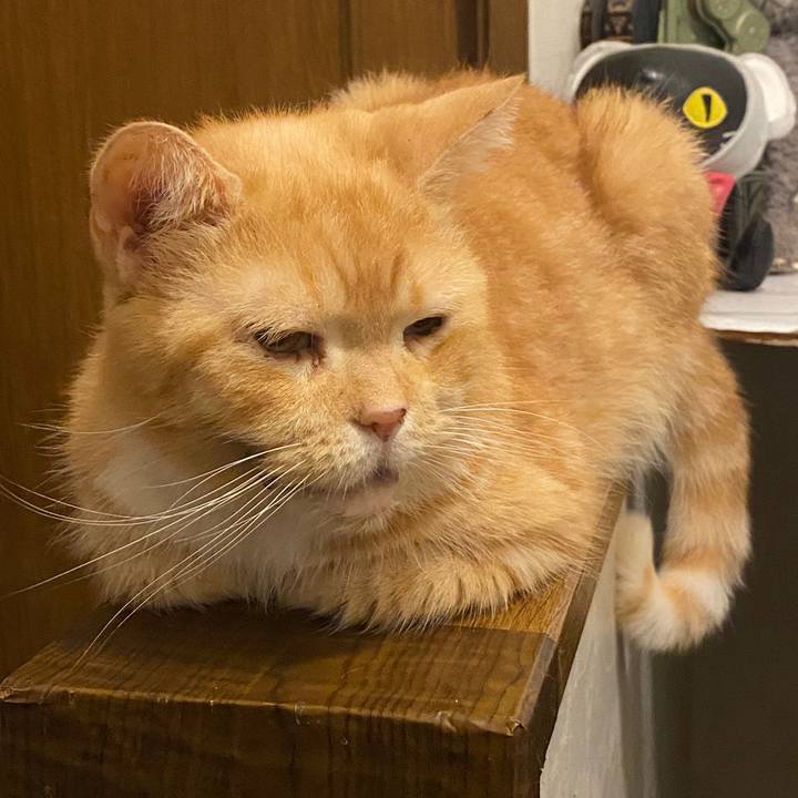 B95c0eb3 f63b 41e5 b35d 4fc1c88abd24 1600177467521