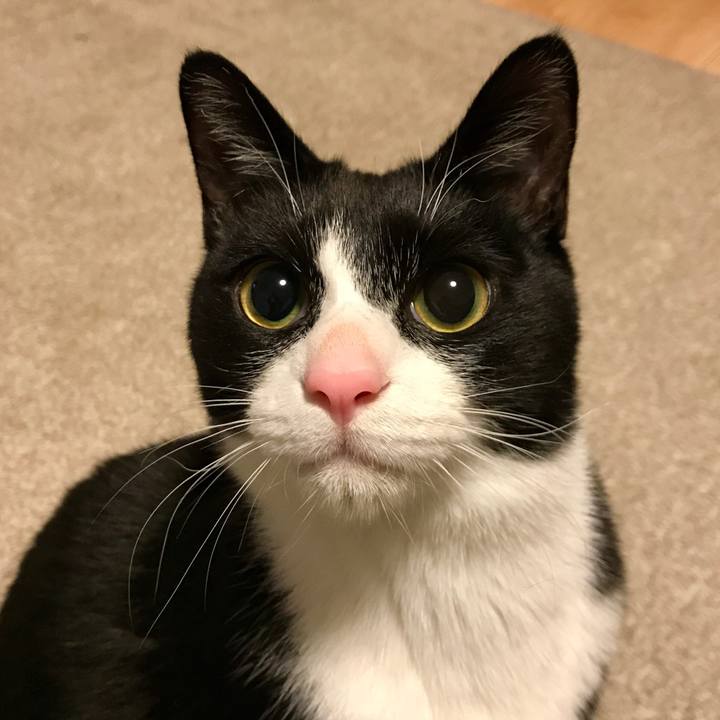 B95c45a6 3e97 449d 98bd 58a4b09671c5 1518520853481