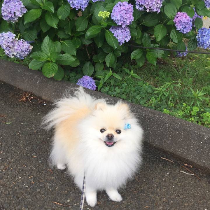 B95c5d46 2db9 41dd a3d5 e1464c264a92 1592961374133