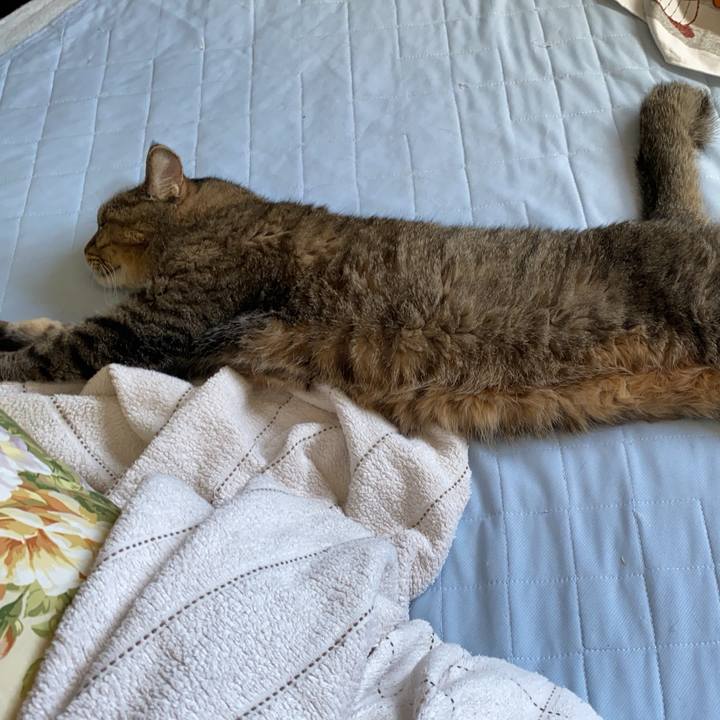 B95cbb6b a44d 4d46 b8ec 5274cbc09e4f 1754139396090