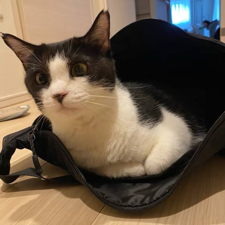 B95cdb88 6ac8 44ef 9a38 b54bcb353e88 1719144056875