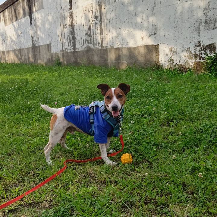 B95cf2f3 9928 440e 85de f3ac35775609 1687092378396