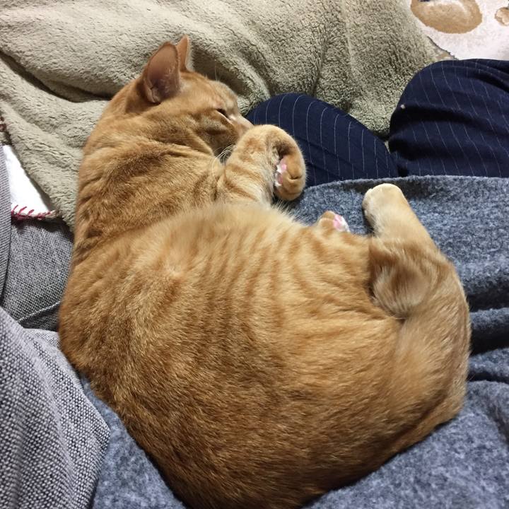 B95cff23 3b79 450c 83ae b81207704883 1511092742246