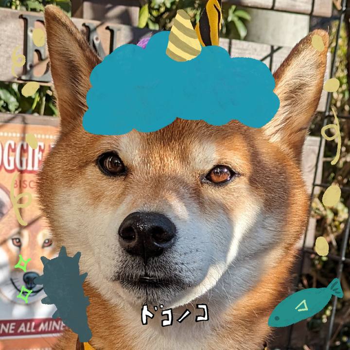 B95d3120 8303 422d b426 fd029055afa2 1706760013600