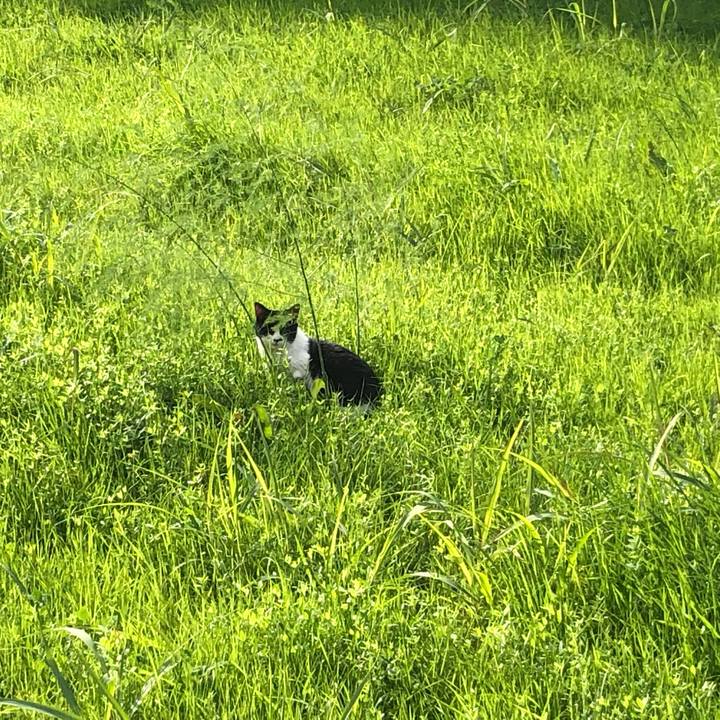 B95d3ba1 fd43 4465 9b58 e17f244a5ae3 1542584829568