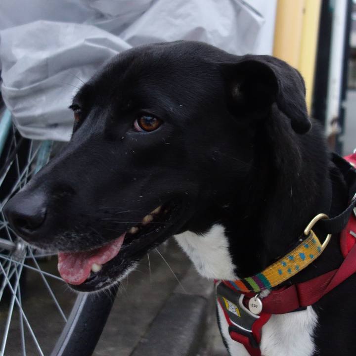 B95d46db b13b 4d88 9f31 2f6d7293bc68 1590143404531