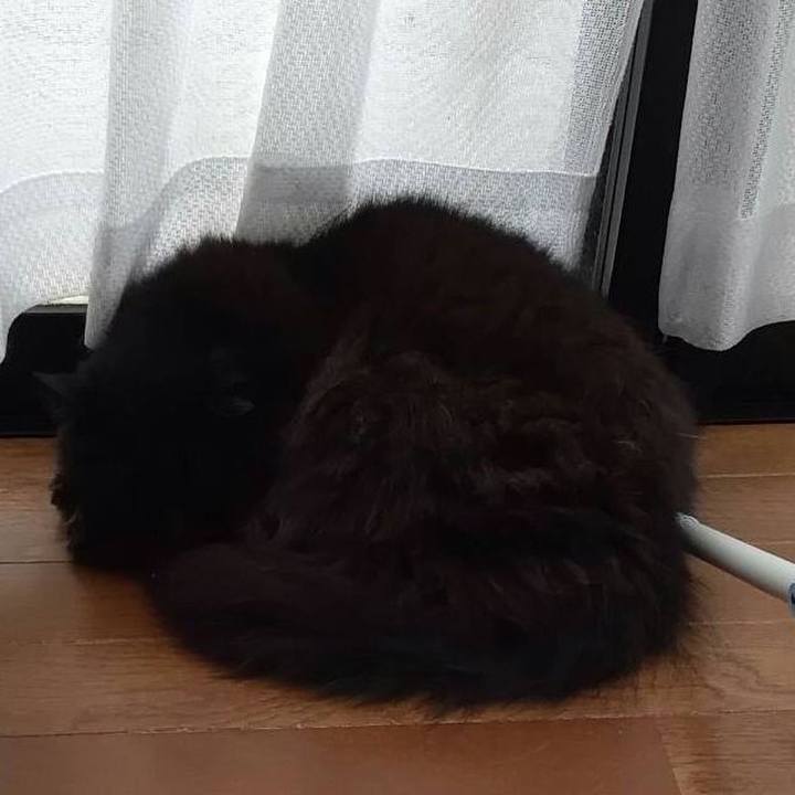 B95d7ccc 4405 46f8 ad51 e4accd4482ba 1528003565529