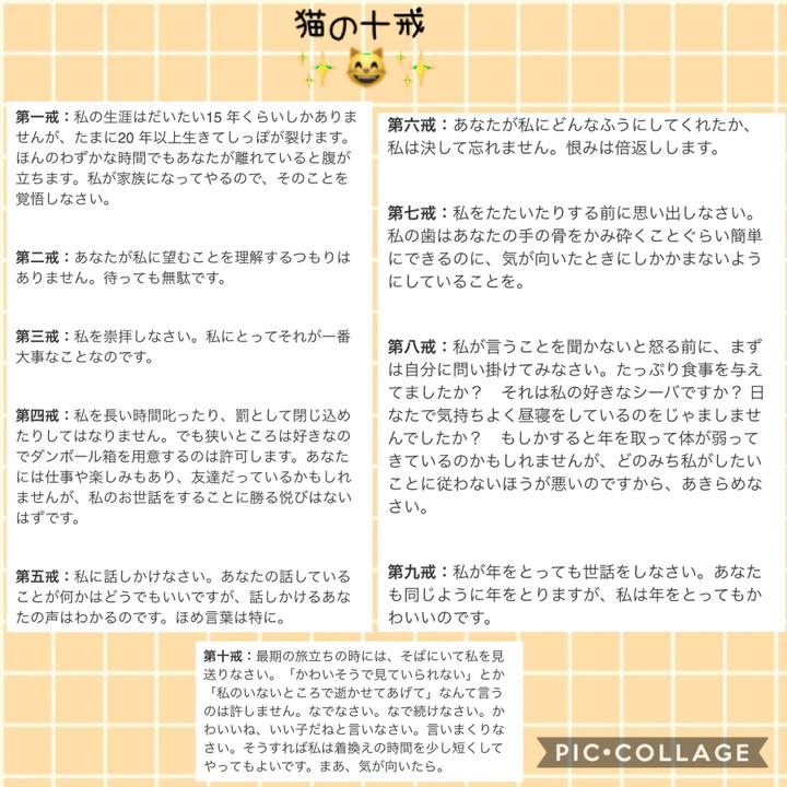 B95d96de 80e5 49c2 ad3a 447007259b0a 1543403506013