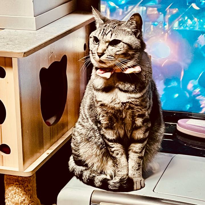 B95dbc22 fdf3 46be 8929 1707826a1725 1767554143762