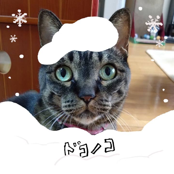 B95e01f9 025a 4b58 bc39 191382a3aebb 1772004502545