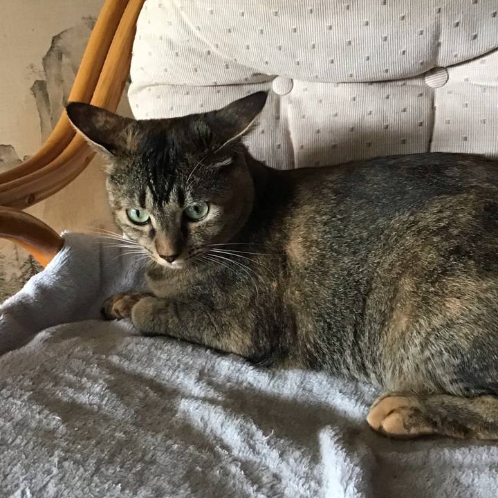 B95e03d5 f1f6 4292 929c fb98c7f7b5ba 1629265018840