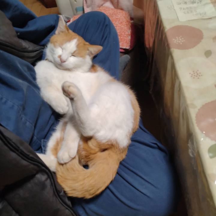 B95e0a42 8326 446f 9daf 3b7603ac62af 1773143650097