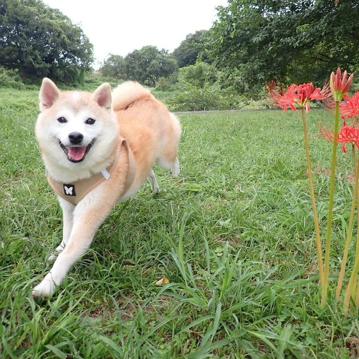 B95e1abb 84c3 41e9 a7ff 36dd6be2fb0a 1759558106080