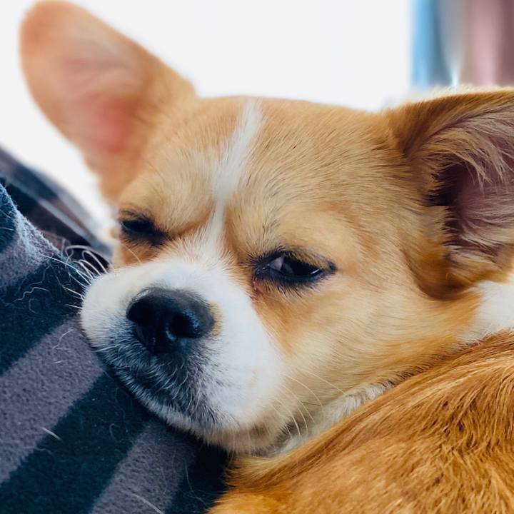 B95e5975 e06c 47da a531 6c0998c46c4b 1584704732150