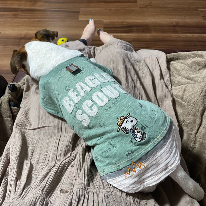 B95e5f20 a727 417c 96da 1755c6779a99 1716986334956