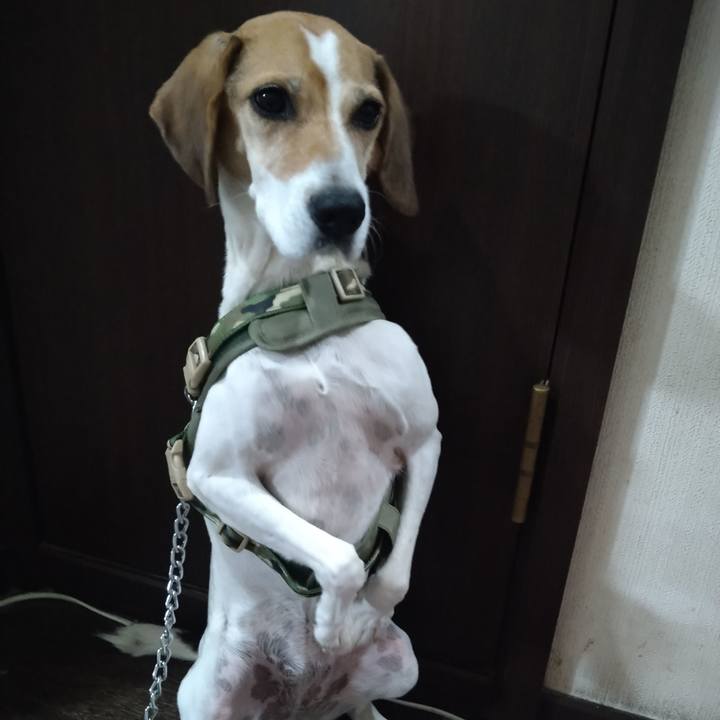 B95eac5e bd14 4dfc a392 d6bcce5fcd6b 1665477180496