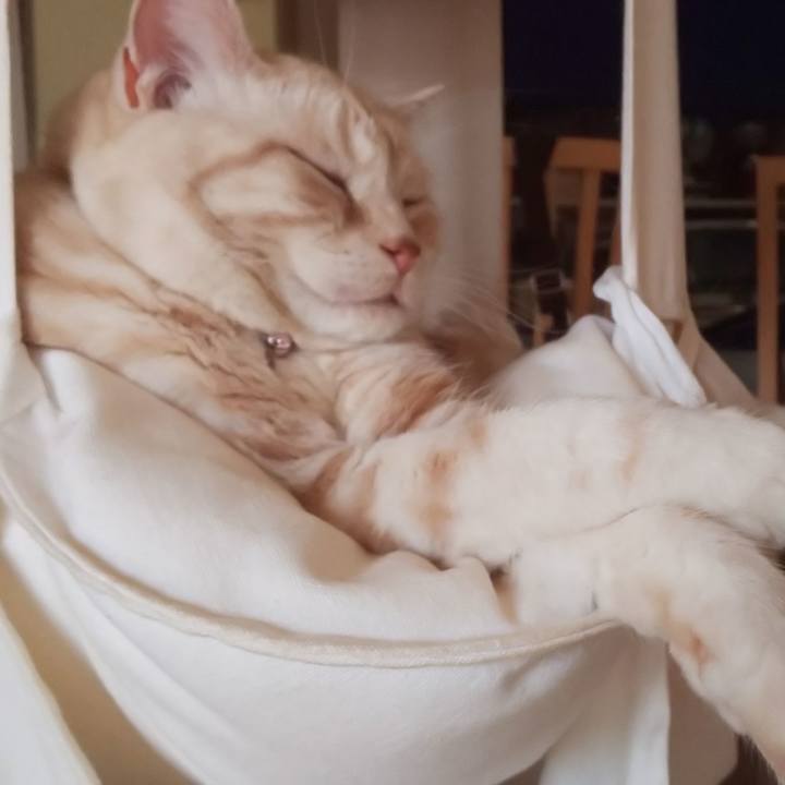 B95eacb7 d726 47a8 af4c f9baf44f29d5 1536294964472