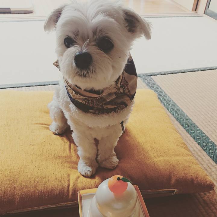 B95f0ba5 f1df 49c8 a7d7 d504e13e0adf 1577845636410