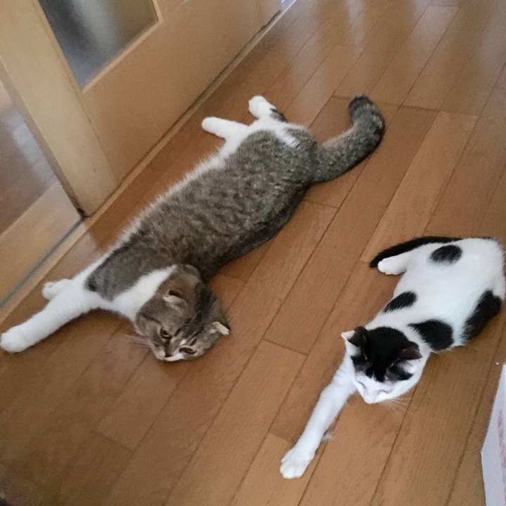 B95f14fb f9cb 4545 a286 862d267f5244 1532424872529