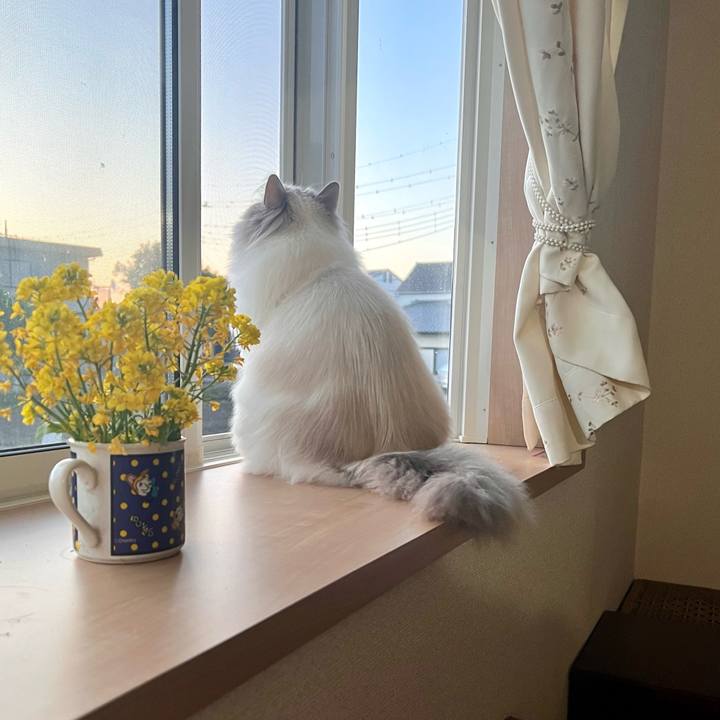 B95f344e d3d5 4f5e 9e4b 23bed7c698ab 1745922707009