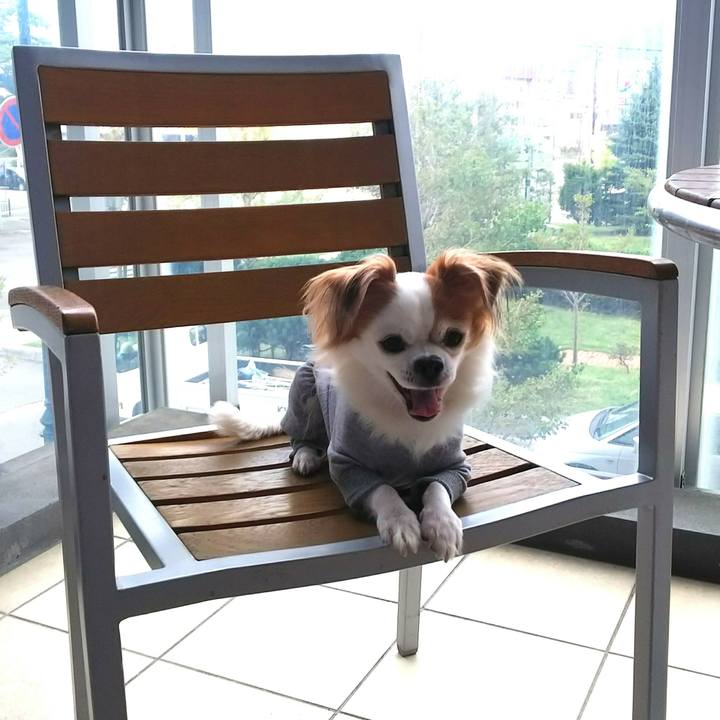 B95f5a3f 30a6 4371 9945 da3ae0dd301d 1538267348386