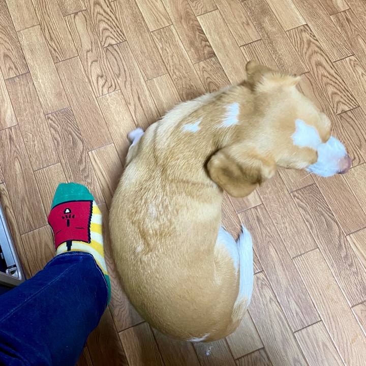 B95fcf03 372e 4532 8bc7 ab53670c1cc4 1589965588938