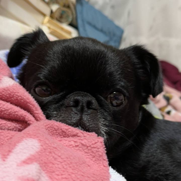 B95feaf9 2998 4b80 b034 5faefd2a73d9 1771591756835