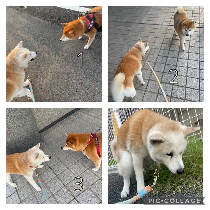 B95ff419 464c 4d49 8040 bf761f6adf4c 1695103495259