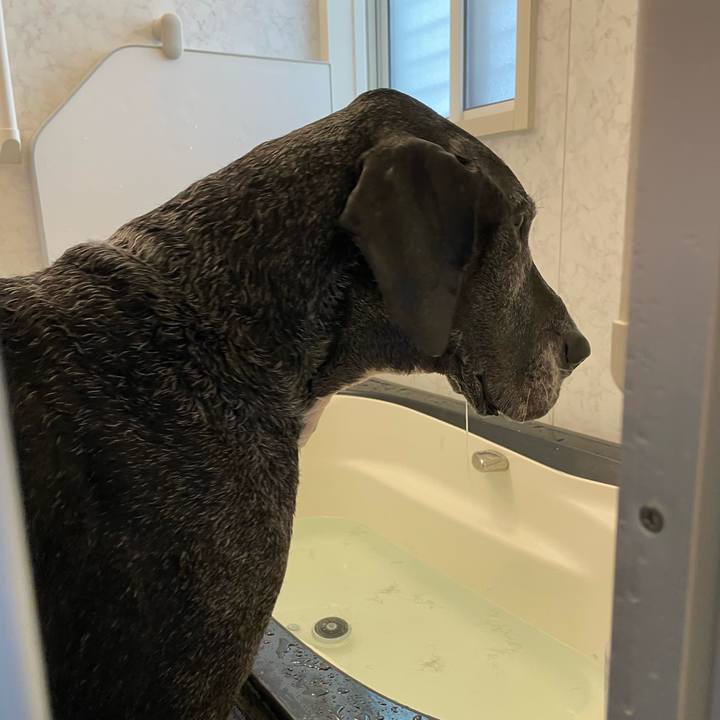 B9600dc7 cca2 45e0 a9e5 3b12494b13a7 1640391507064