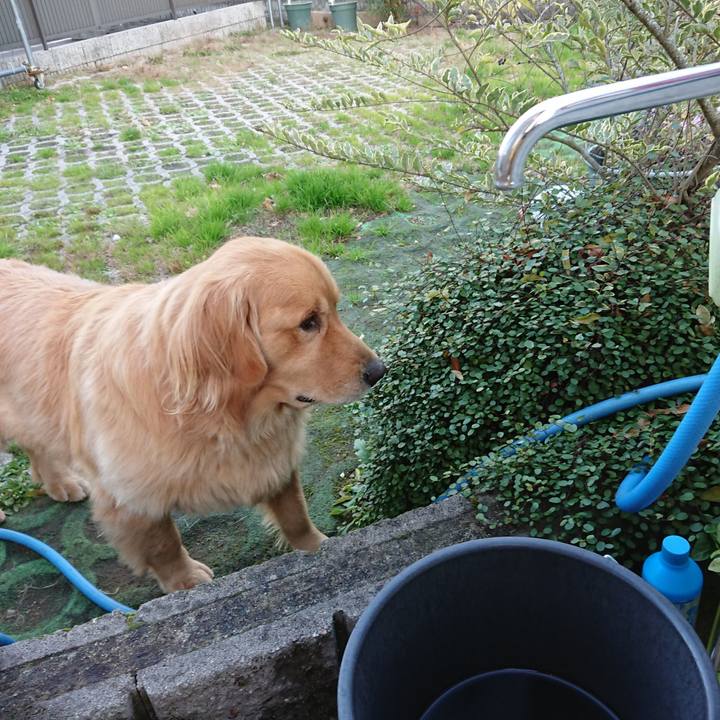 B960775b e942 4523 96f8 5da93279cada 1575899315179