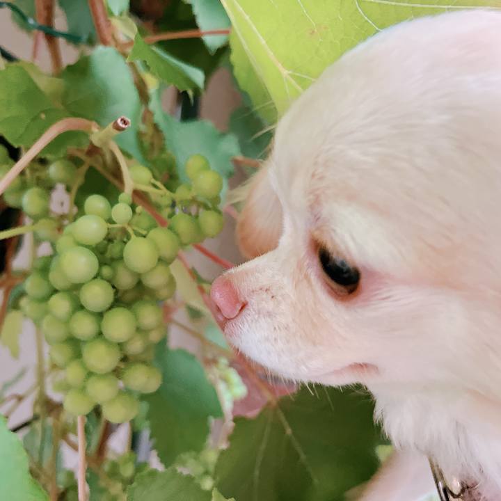 B960b11d 613e 480e b09c b6ac723a0dae 1655888865618