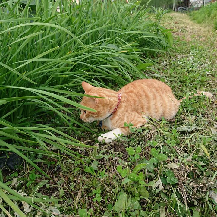 B960e5b6 a542 467d 9aeb b81a44fded81 1561974339130