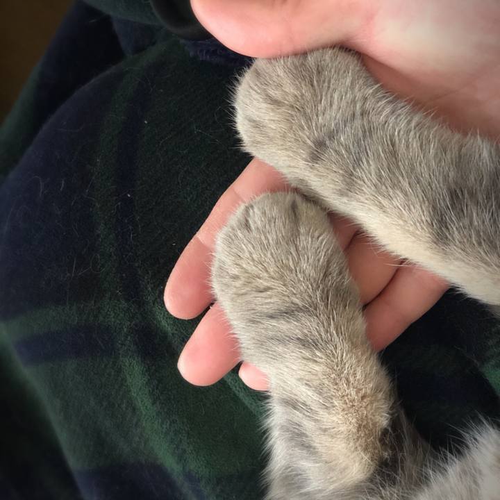 B960f67d f5cb 49da 9e89 56f70986fed1 1518351157482