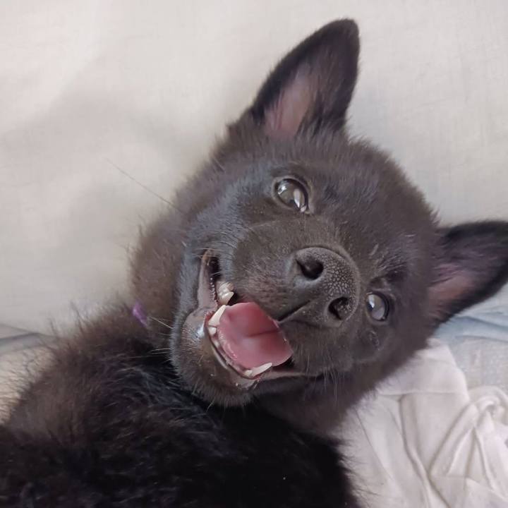 B9611af2 62d8 4e7b 88f9 41e6708f6b69 1751584131595