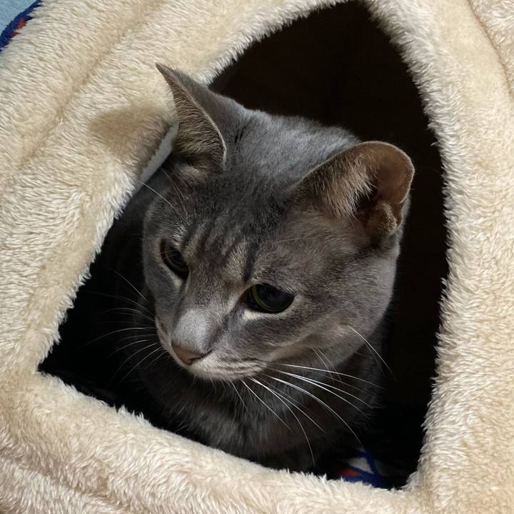 B961308a e5a4 44b0 9669 b505e21b51af 1604410076875