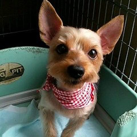 B9613189 673a 4121 8964 27faf04f0d78 1552270485720