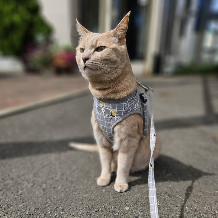 B961324f b607 4474 9049 335e6cfb80c2 1726888875913