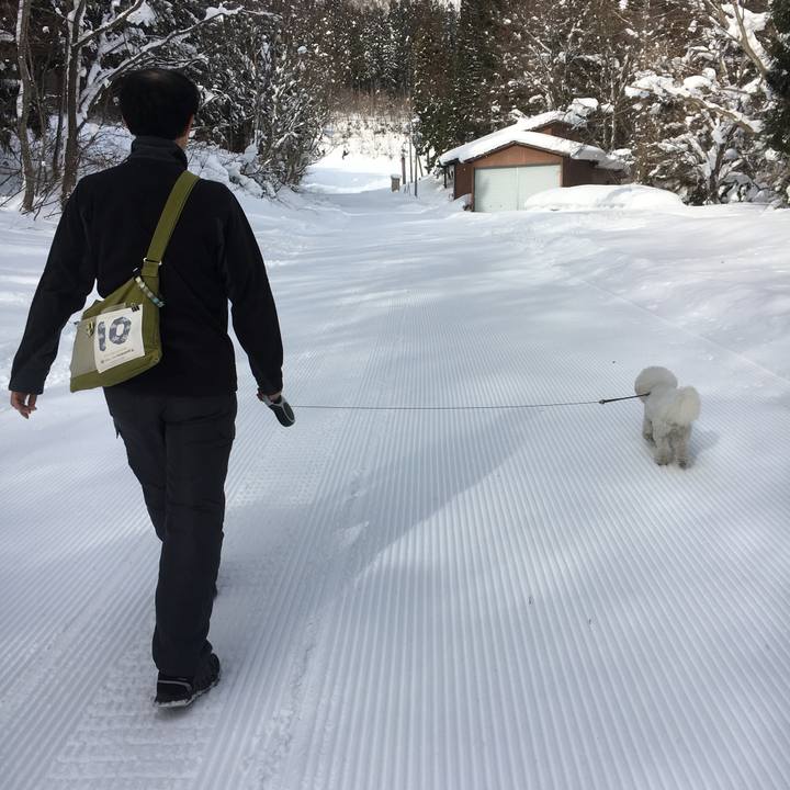 B9613950 8526 4df7 934f d306dc1a5ad7 1547279406125