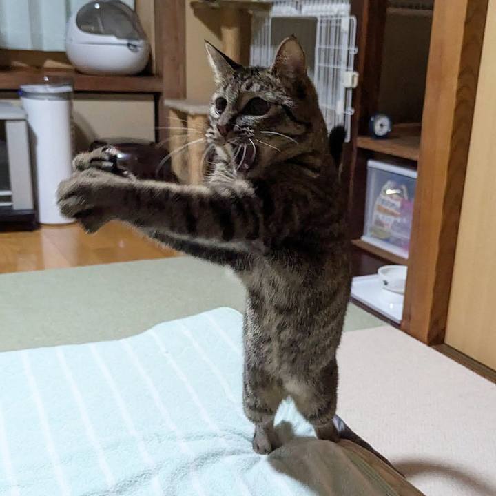 B961564a 0579 4c2e a99f 6d8765ccd5d4 1722237214360