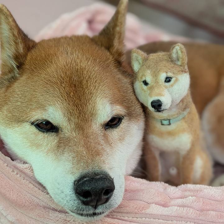 B96160e0 b10c 4479 addc 773638fd23c4 1745999558556