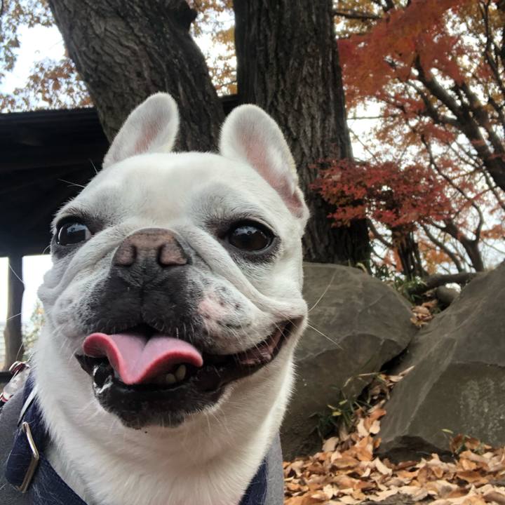 B961cc1a ba31 4554 a761 00a9ef3ceb6b 1607583904884