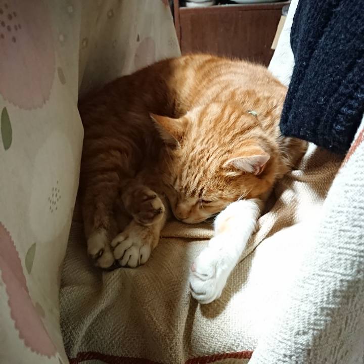 B961d4f1 5af0 496f b285 e956f69405f9 1581369511820