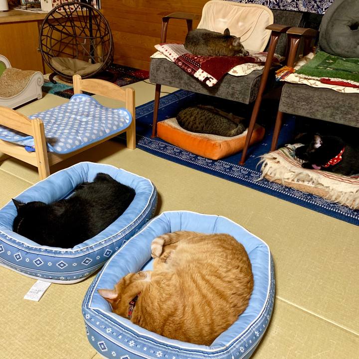 B961d74c 04d3 4d30 9ec7 ab3ed31fd252 1566985303244